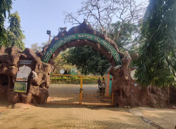 Jogimatti Forest Area